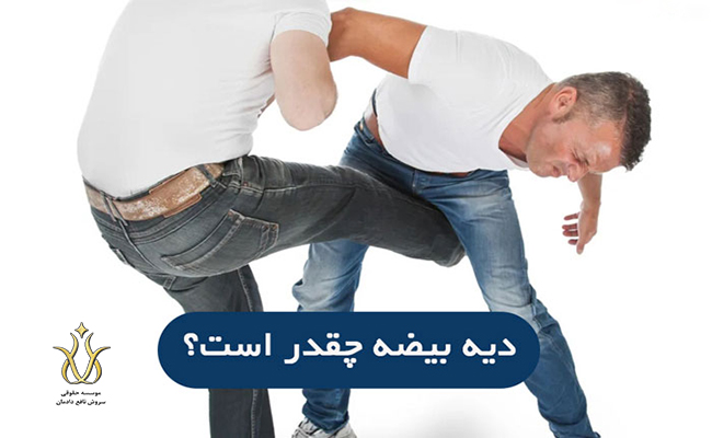 قانون دیه بیضه