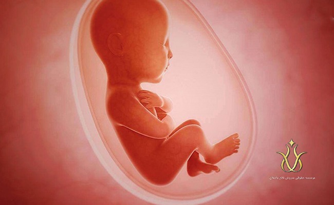 جرایم تمامیت جسمانی اشخاص -سقط جنین