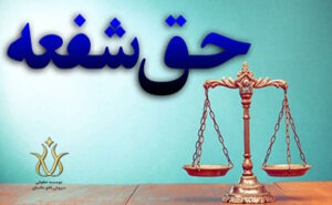 حق شفعه در قانون مدنی
