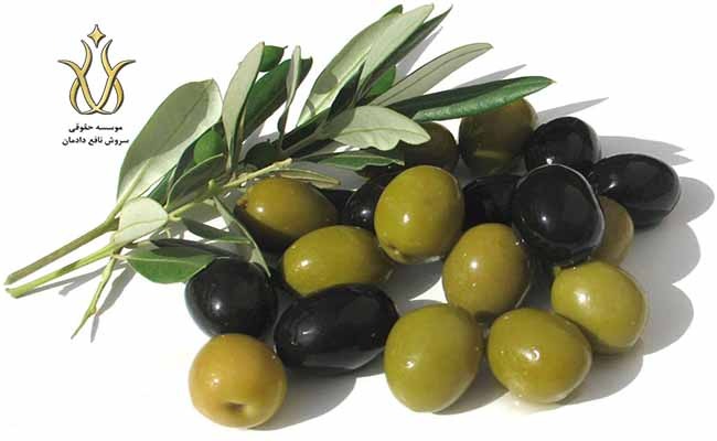 انواع ویزای مهاجرتی یونان