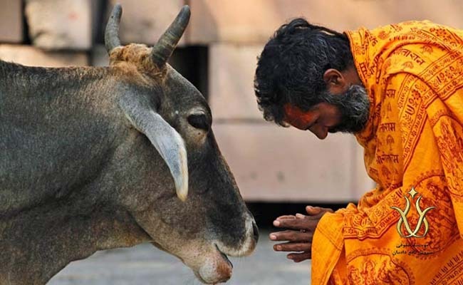آداب و رسوم هندی ها